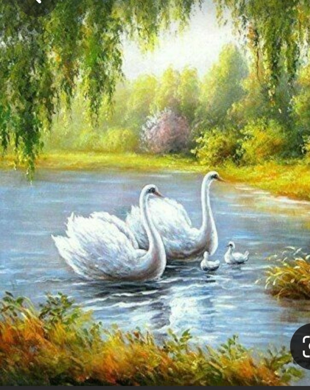 Screenshot_20230519_234720_Pinterest