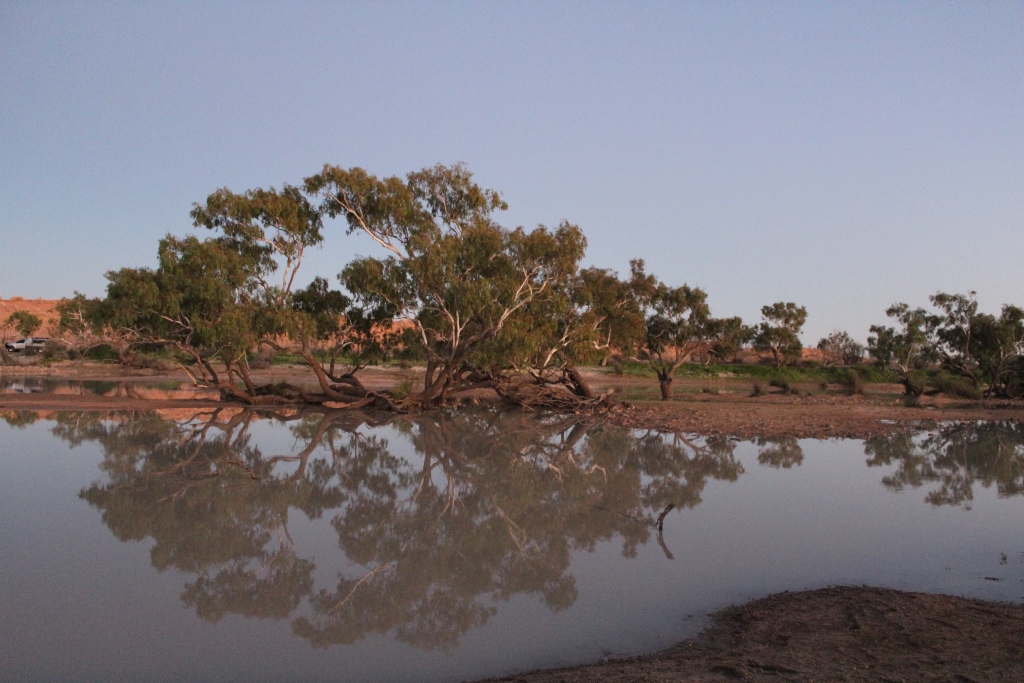 2019-Madigan-Line-Simpson-Desert-TRIP-2534.jpg