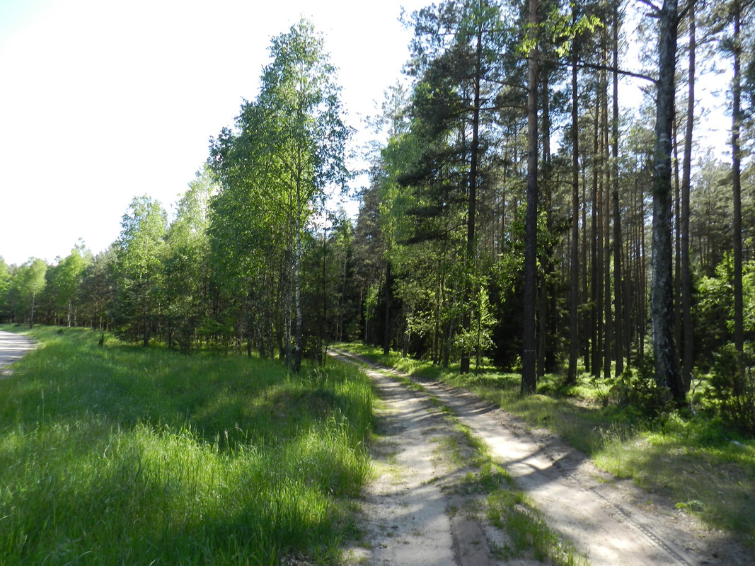 01 - DSCN4039 (Milady)