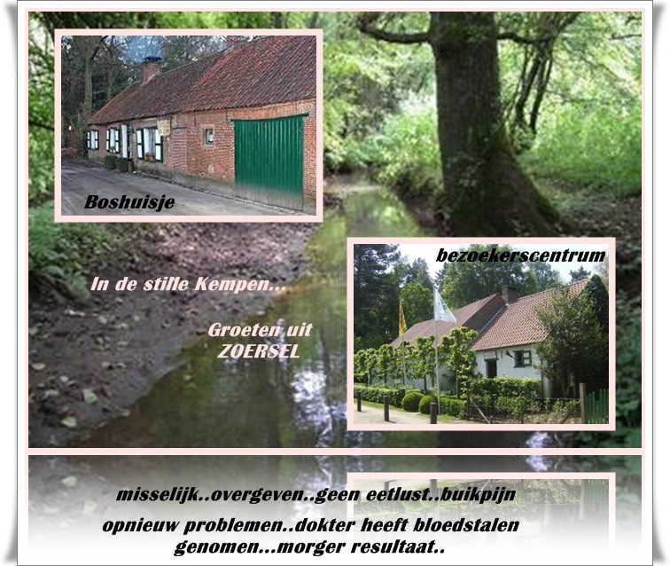 welkom opblog Bunic Jos