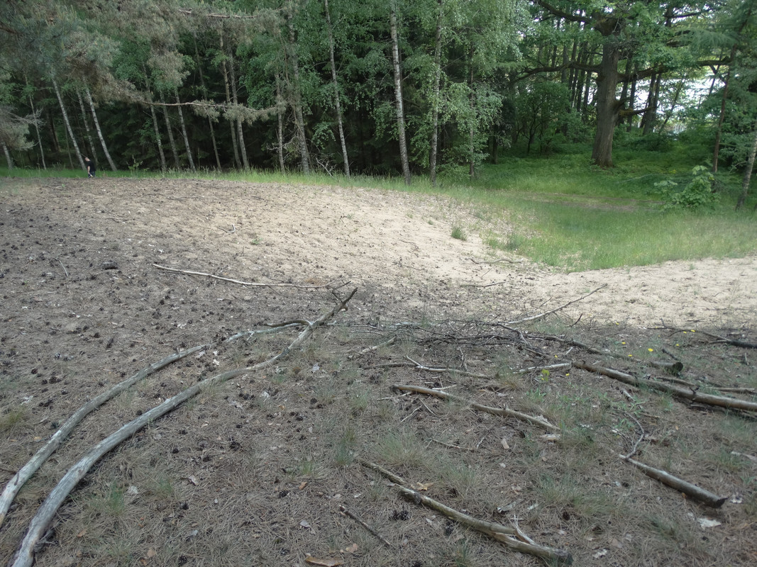 17 - DSC04116 (Czesio1)