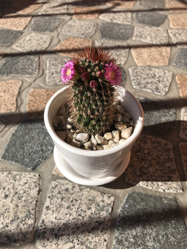 B1140867-84E5-4026-8A53-2C3E5051E91A