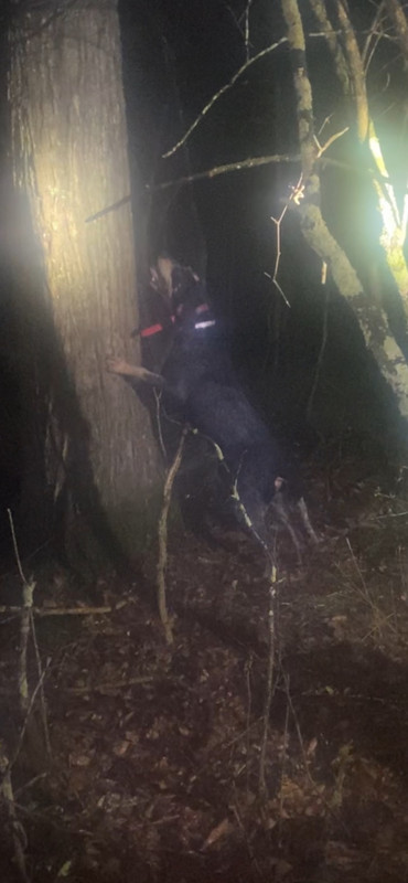 44D77641-2D5D-4B8C-95A2-44187B3BADA4