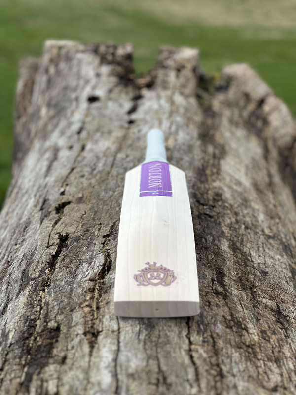 D1063867-475F-4B6C-91F9-3947B1BE8DF9