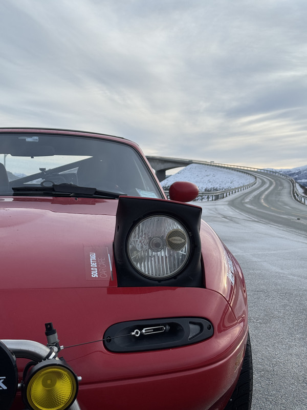 [Immagine: IMG-9419.jpg]