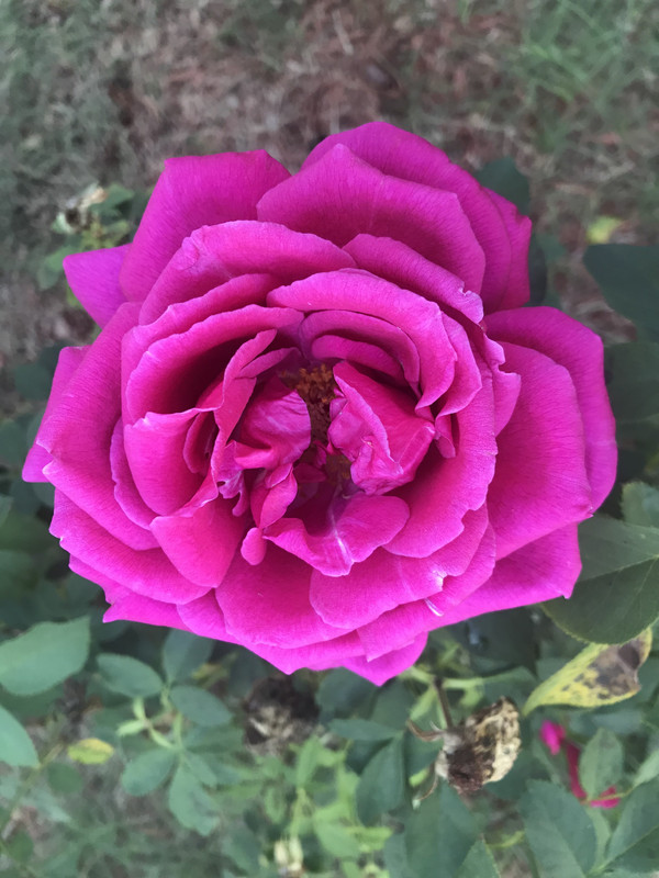 68DFE98A-7366-414C-8BCC-8BF97542A867