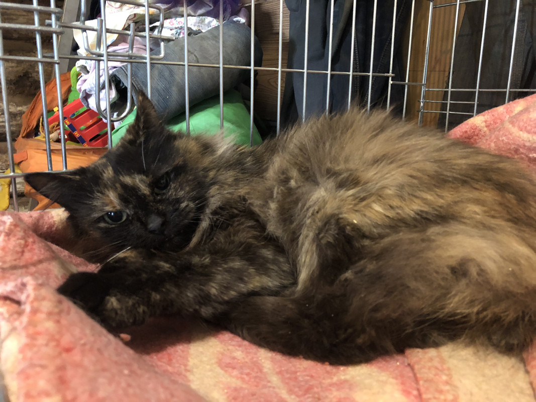 AA597802-8FC2-4C24-869E-7DF05F3E45E9