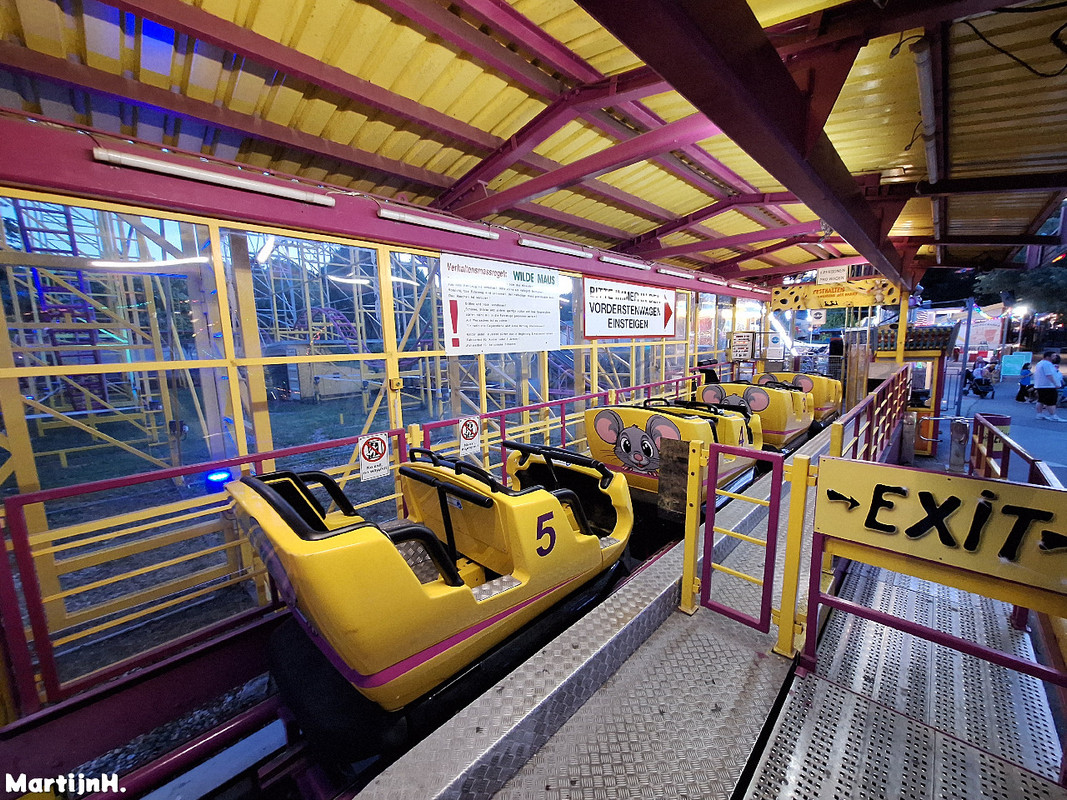 Wilde Maus - Dallinger (2)