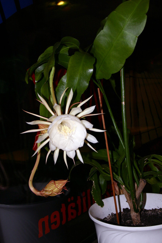 [Image: 2.jpg]