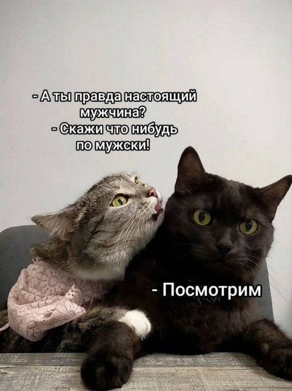58f90509772436aac47eedc48a283d08 (1)