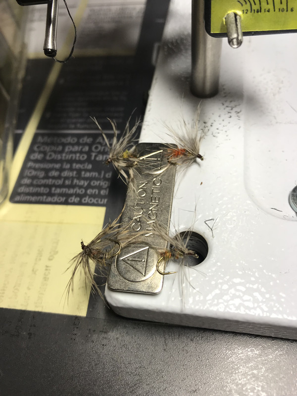 DED3CD54-BD01-495B-AC45-63EE166AA261