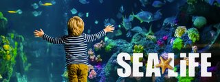 sealife