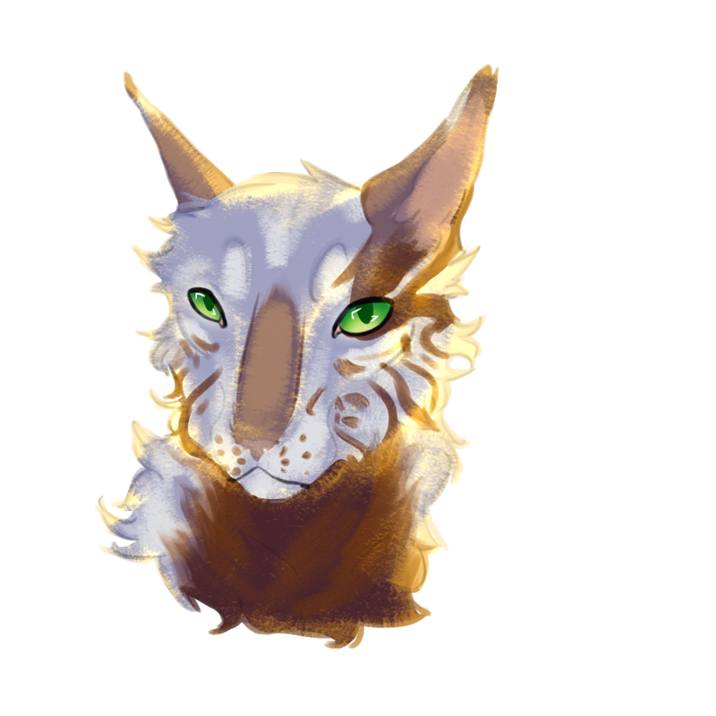 IMG_20240811_215957_361