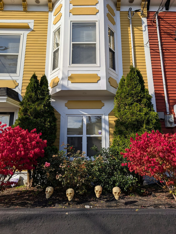 PXL_20251004_130825845.MP~2