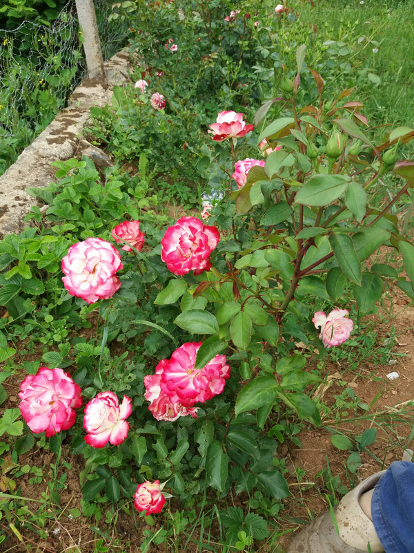 20190601_173352