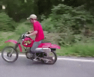 daily-gifdump-3386-11.gif