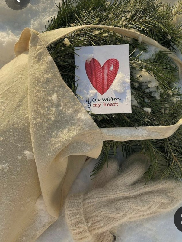 Screenshot_20240209_233335_Pinterest