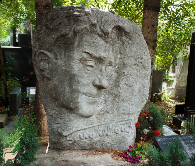polevoy-640x545