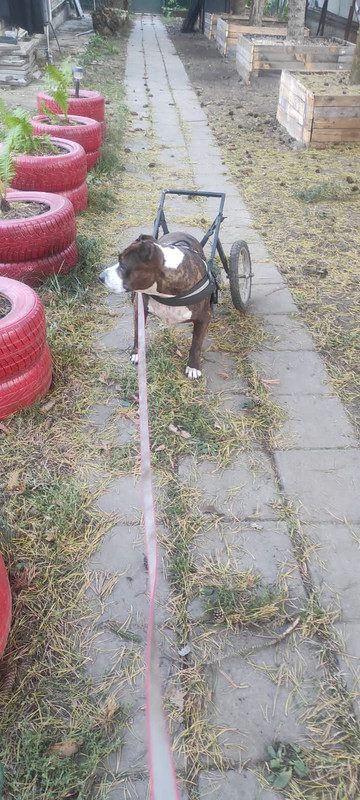 0AD8FE68-8C68-45D4-9D12-E26D6C680189