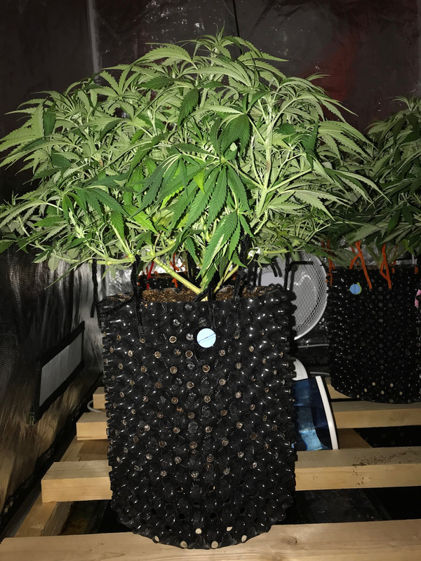 B08B274D-32FA-4D0E-A74A-9D7036BD21B2