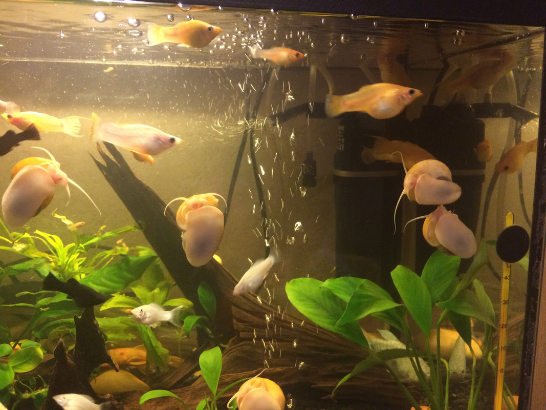 68AE94B0-2282-4FFB-ADF6-CB09529559CF