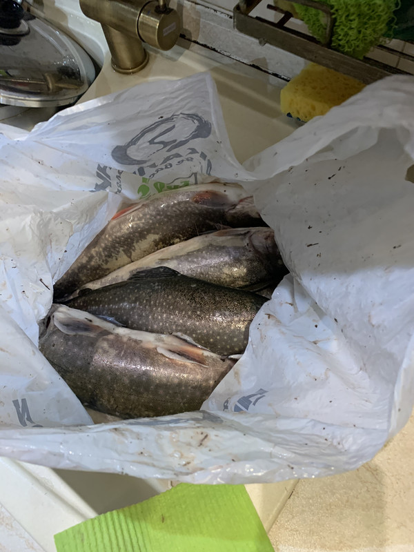 9619EE1D-C585-402B-8B29-732960CDBC66