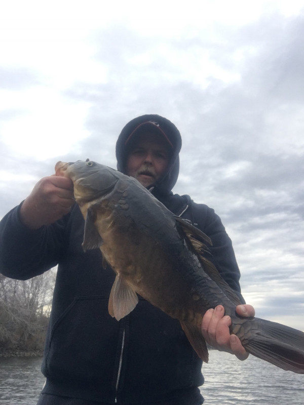 B839F89E-F09F-4500-8453-B5ADC73FA374