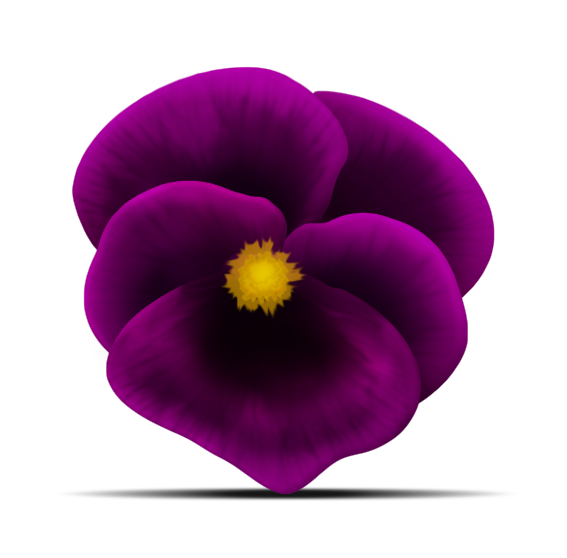 viola-ffinished-2.png