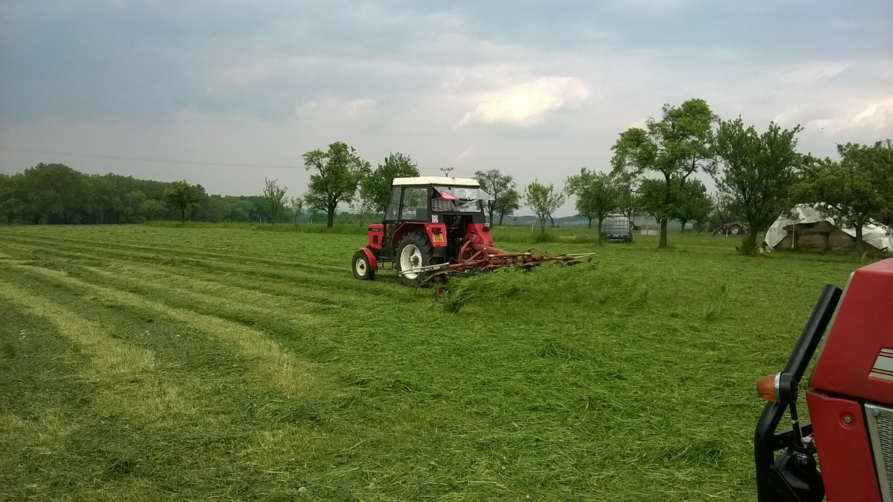 WP_20160520_13_51_14_Pro