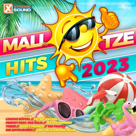 8f37d309 1aad 4bff ab49 336fd77540f4 - VA - Mallotze Hits 2023 (2023)
