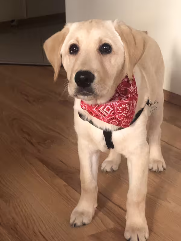 62BF74DF-8DDD-4971-A285-5F4BBC078F34