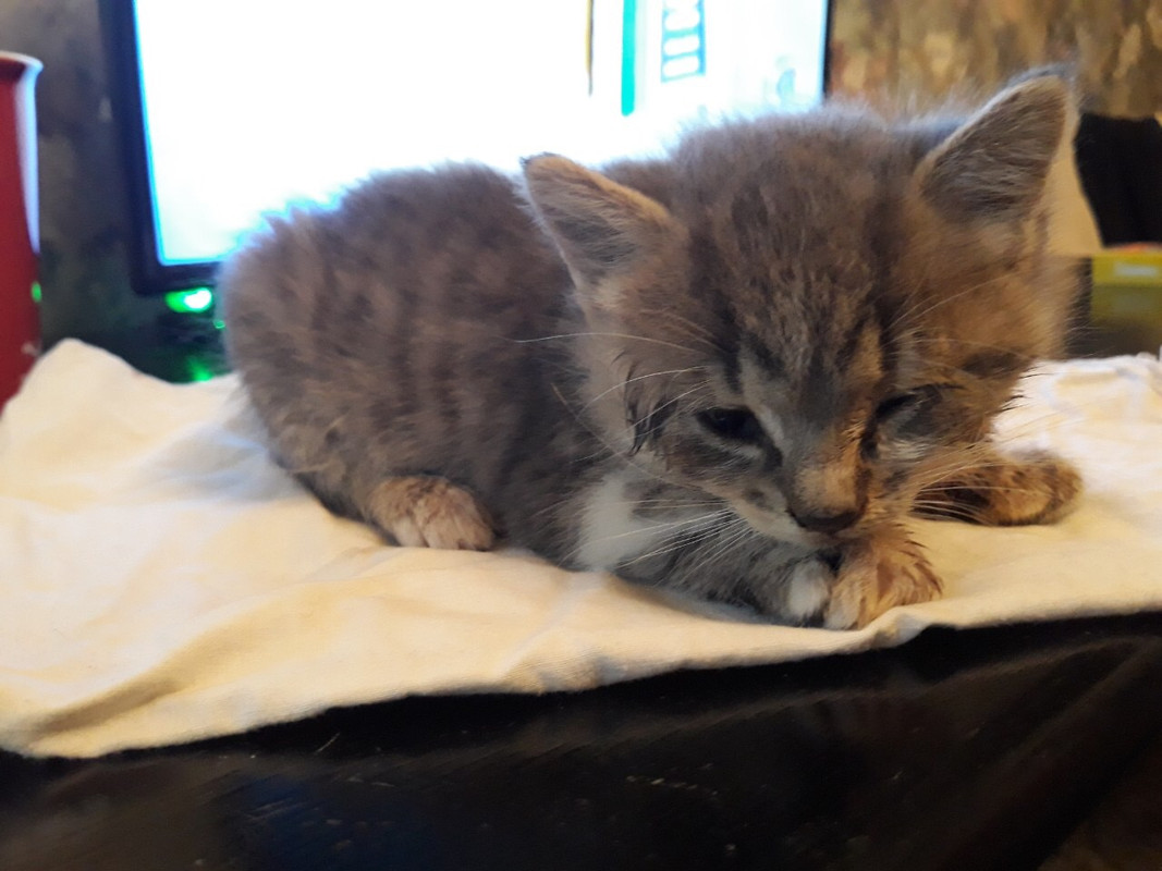 48494EE2-0F8B-4488-A0C9-E33AD094AD58