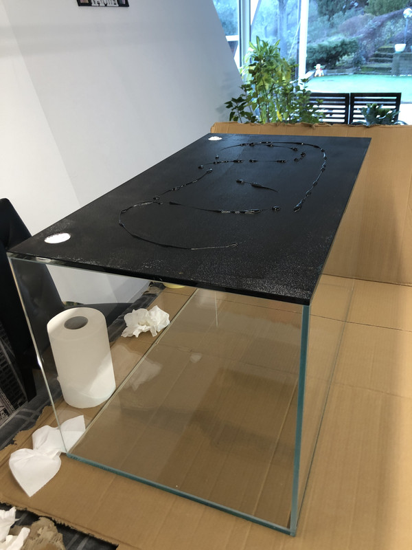 6EBF45B5-4DBE-4F2E-BD29-F3046B4684EC