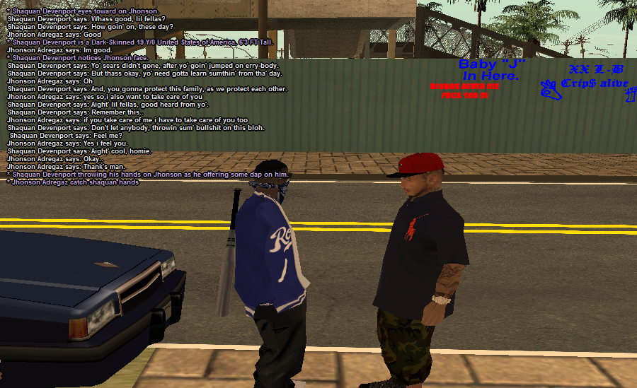 rp3.png