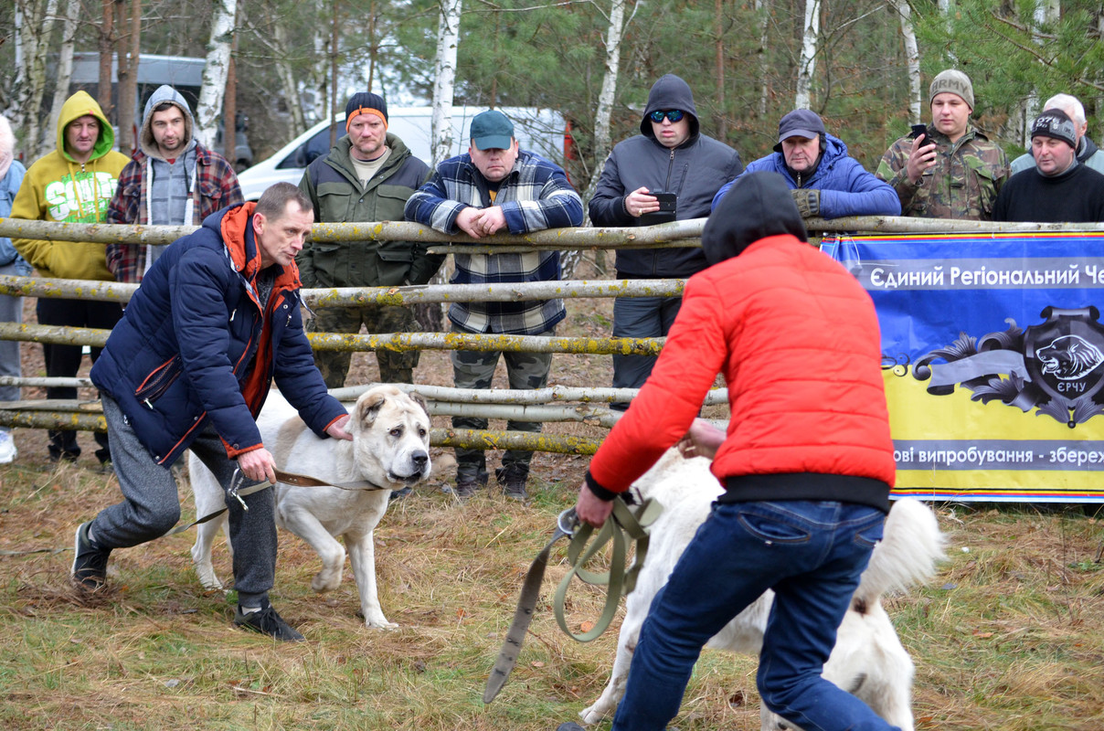 Шаман - Монгол (4)