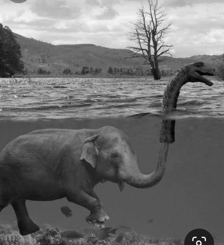 Screenshot_20240329_203557_Pinterest