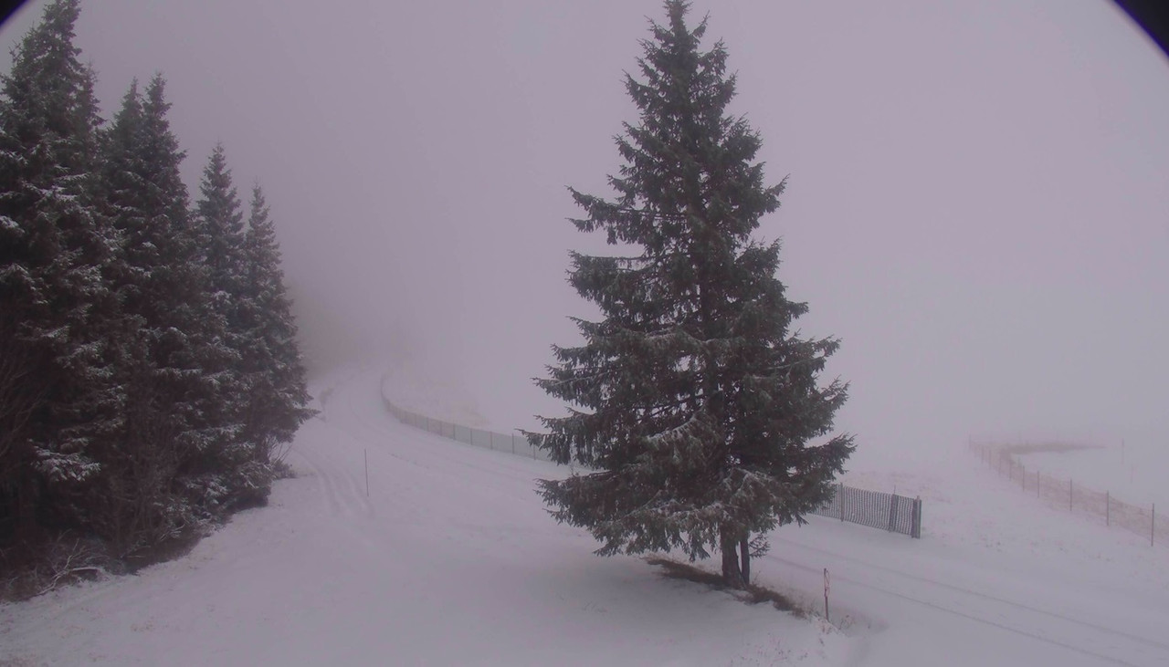 les-estables-ski-nordique-2023-11-28-10-