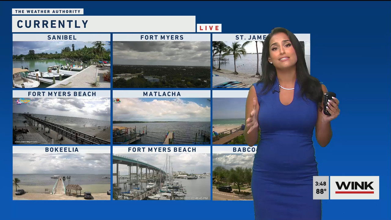 05.24 - 20.00.00 - WINK News at 3 00 p.m._001.ts_snapshot_01.18.096