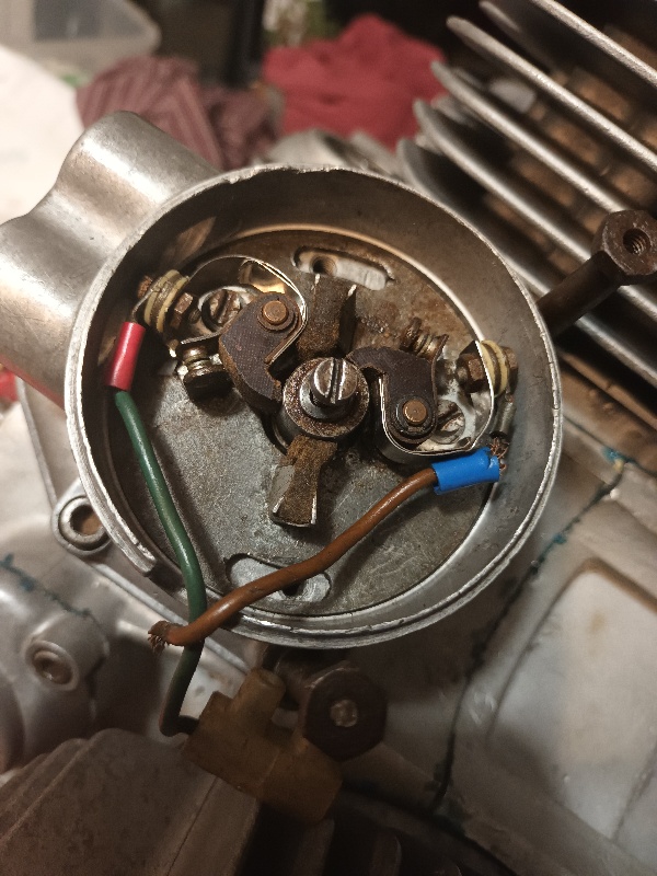 20220317_232622_copy_600x800