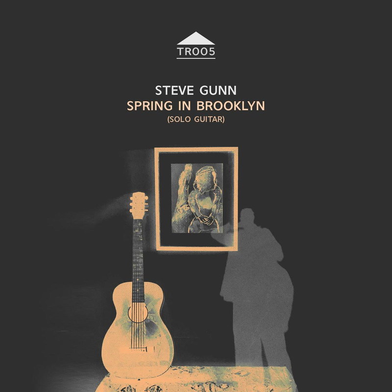 Steve Gunn • Spring in Brooklyn (2020) .flac  48.0 kHz 24 bits