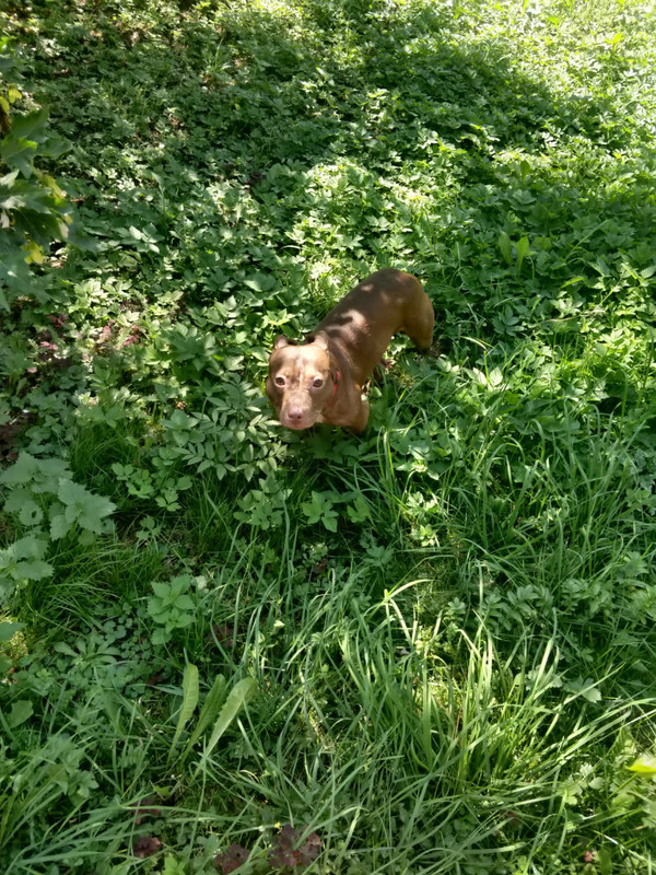 F63ABEDF-DB37-41CF-88D9-DAFB77524FA6