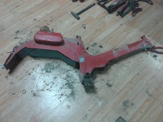 15682656_10209846066462594_434915259_n