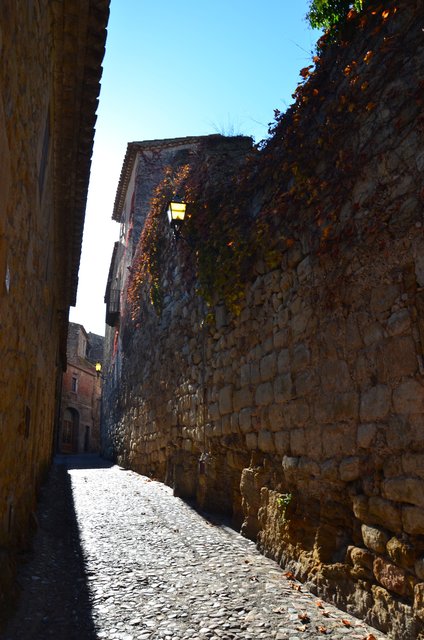 PALS-21-11-2017 - Gerona y sus pueblos-2016/2017 (6)