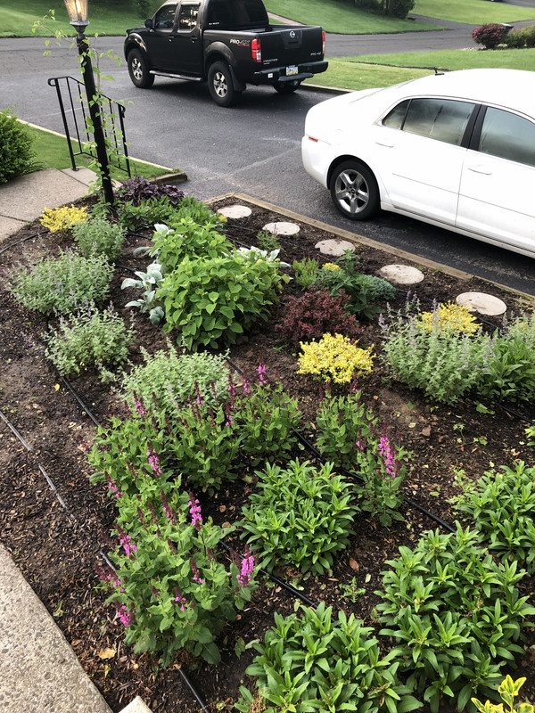 69F089CC-C49B-49CF-94D4-3D774455D914