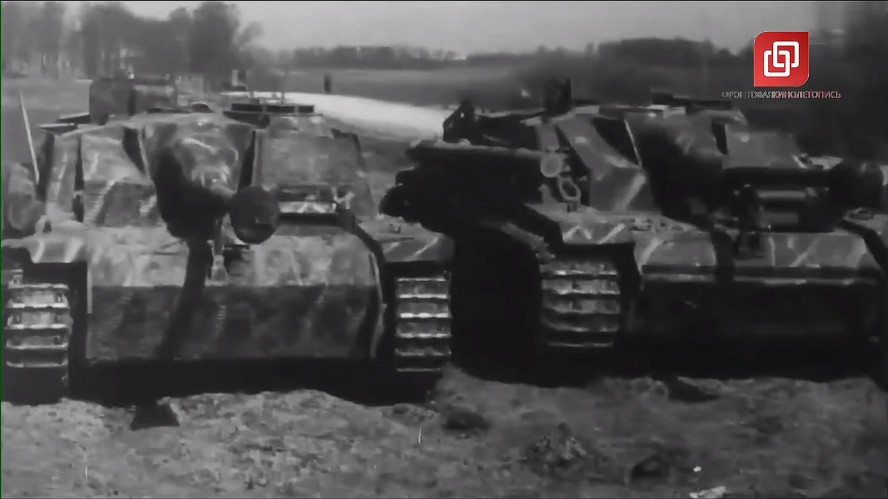 капит курл груп 1