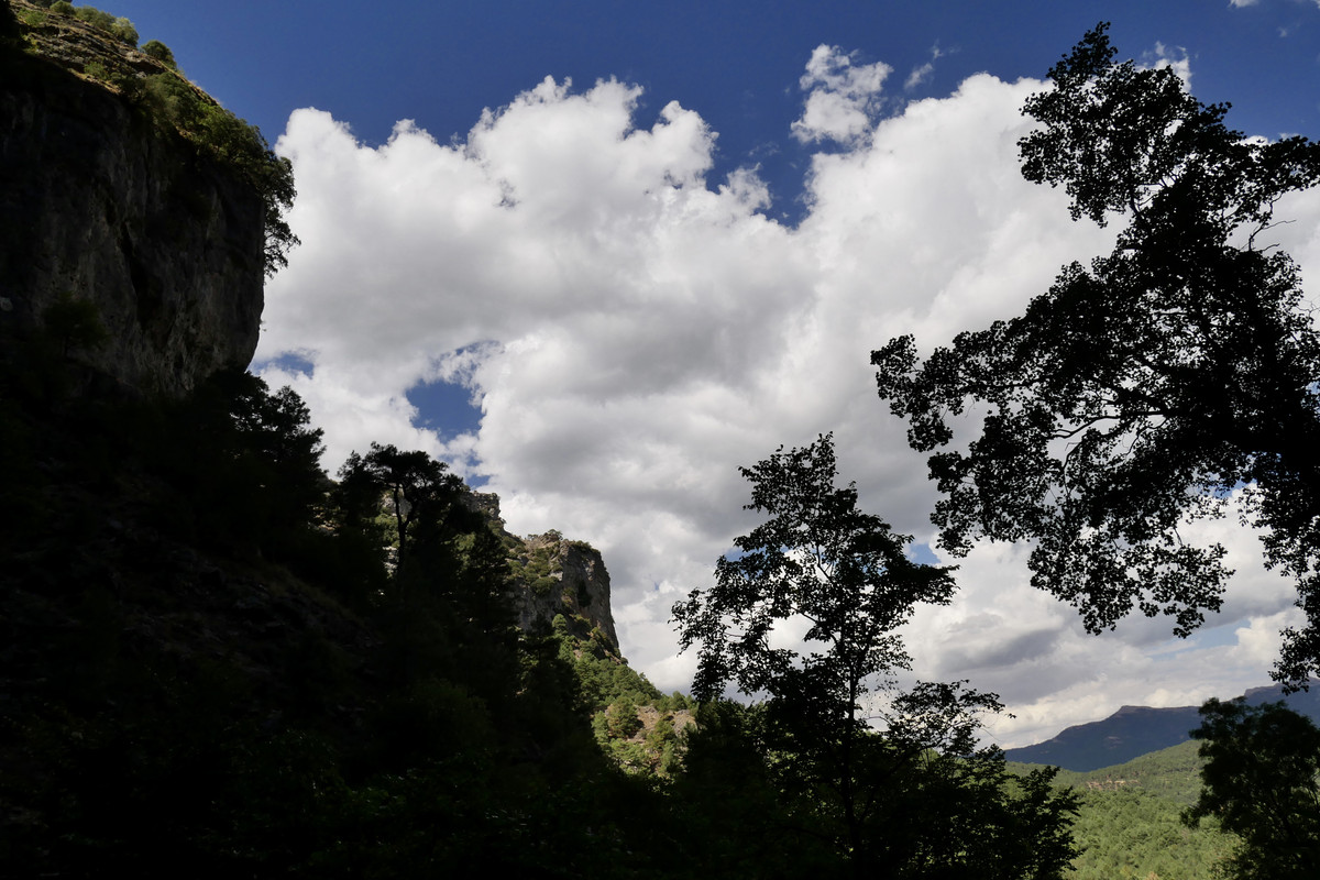 1033FB78-9C8E-406D-B84B-E97D994E23B0