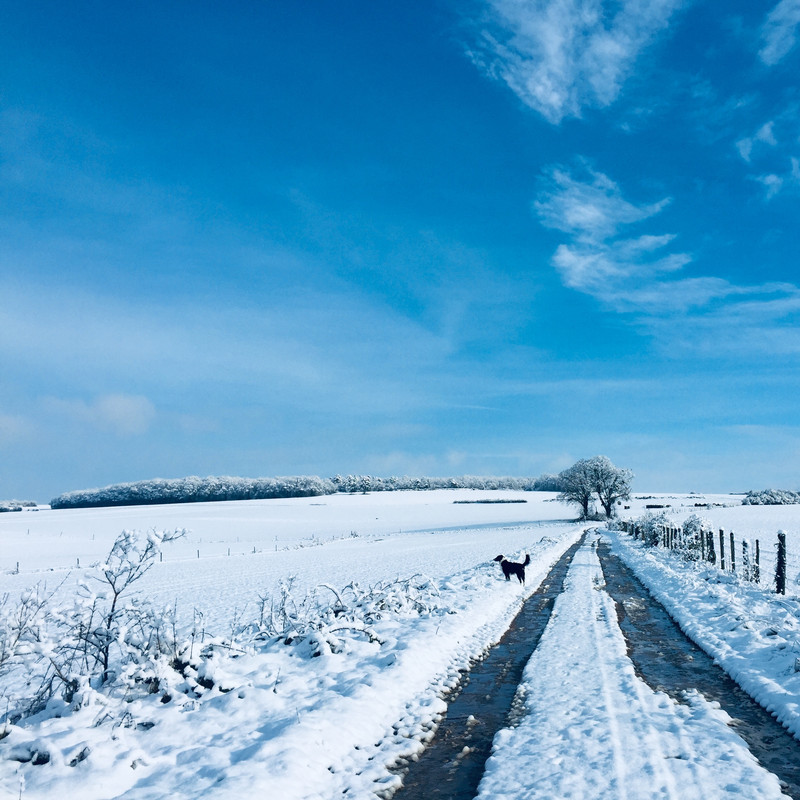 231E6202-A84B-44B7-B823-E2F858CD4AAE