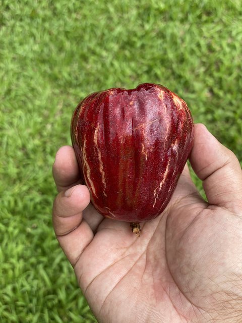 F4FA601C-C49E-40BE-90DE-1D95B596B514