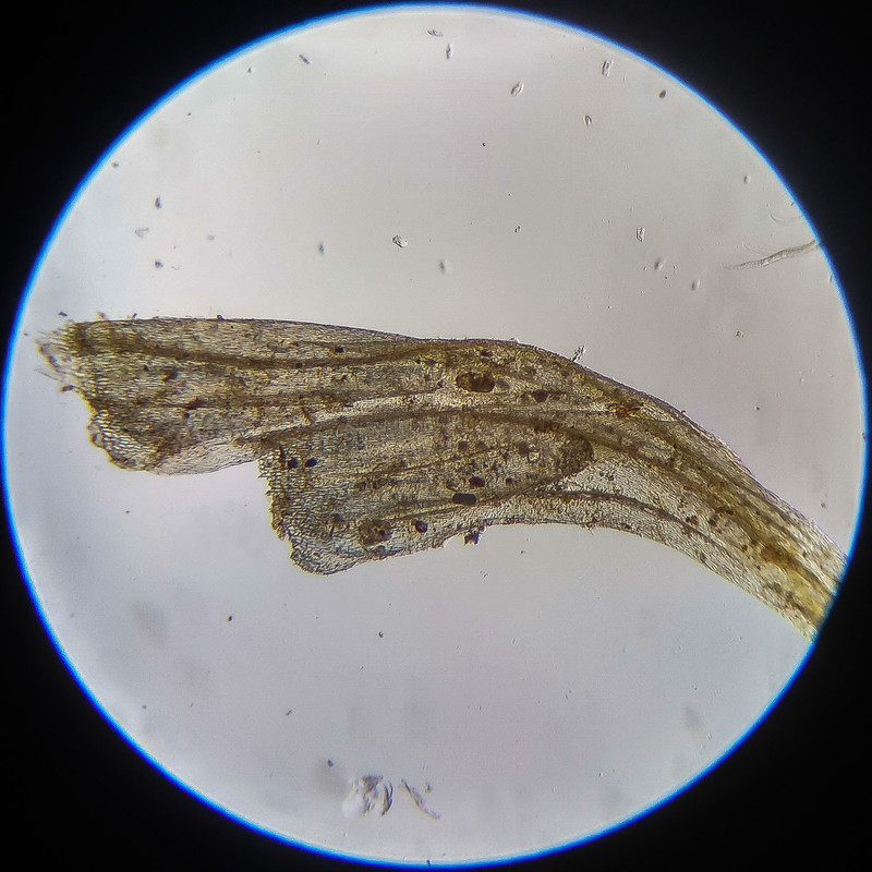 IMG 20250614 122410 HDR