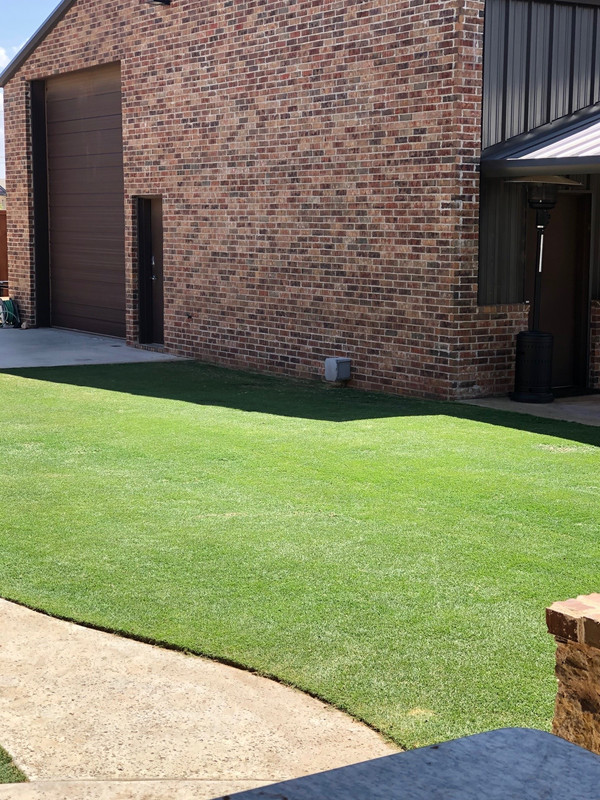 Washboarding in Reel Cut Bermuda Lawn Care Forum